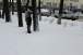 resIMG_20111214_0797.JPG